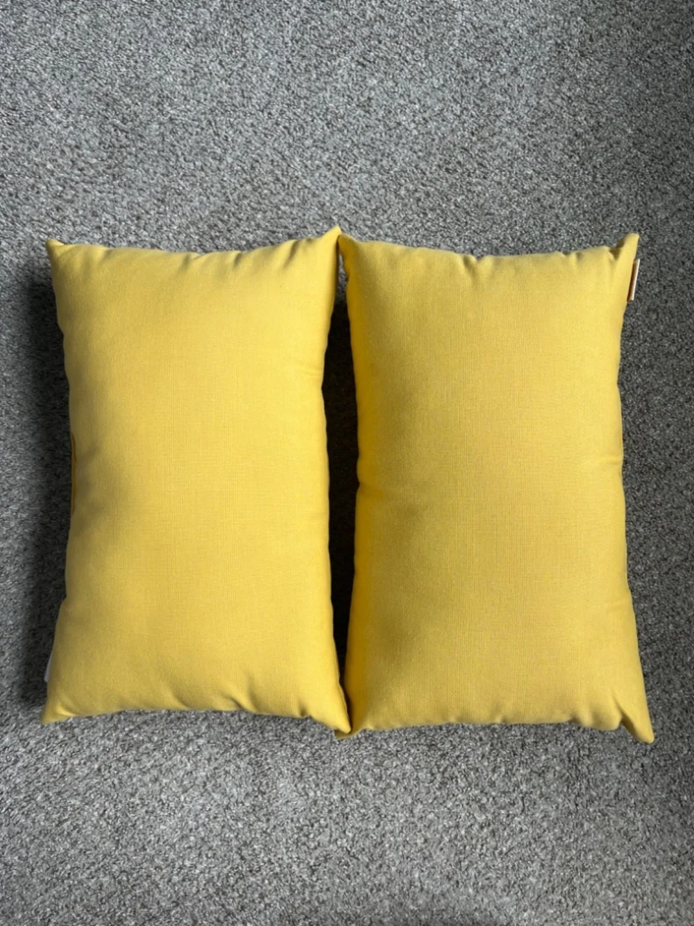 2 Sunbrella pillows